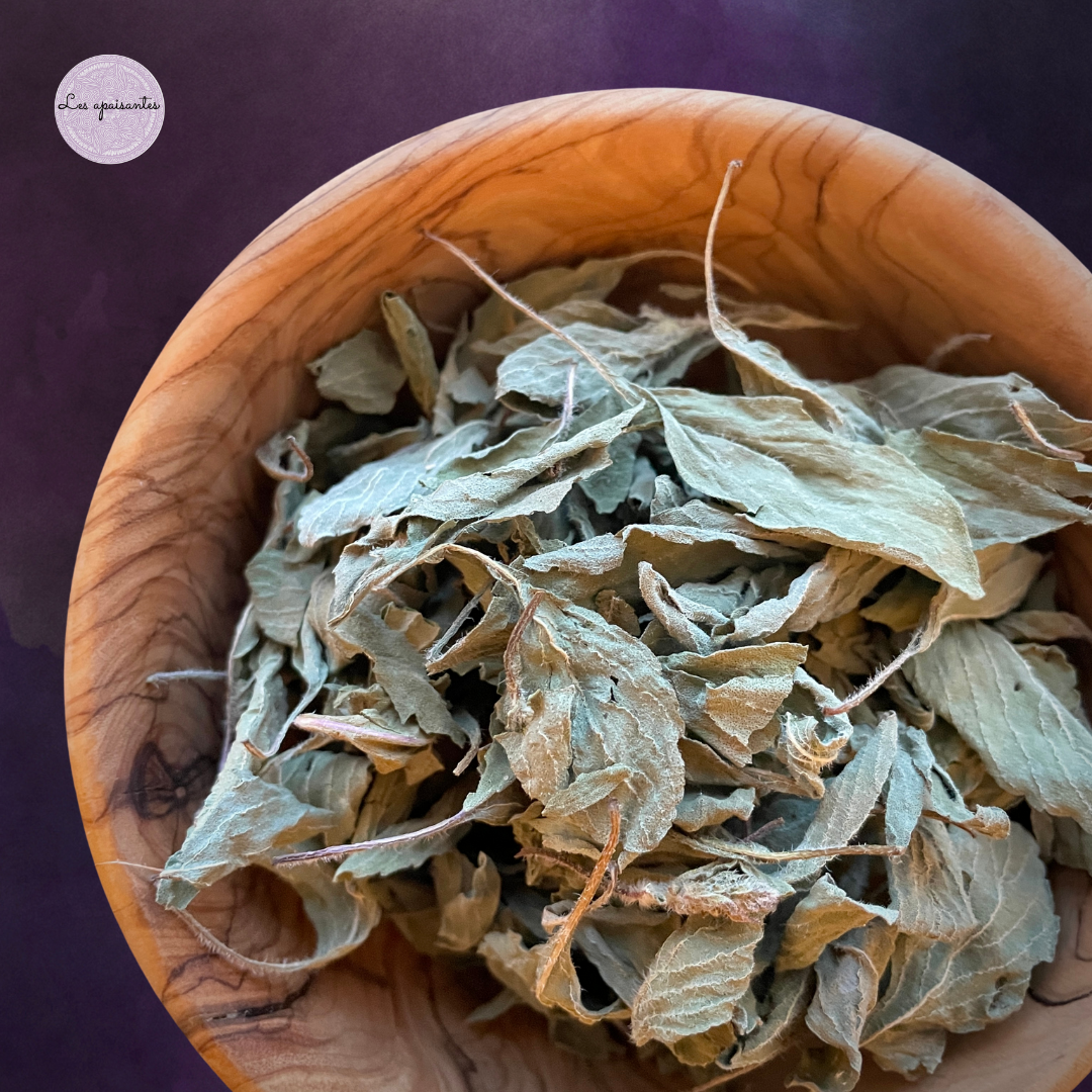 Organic Camphor basil