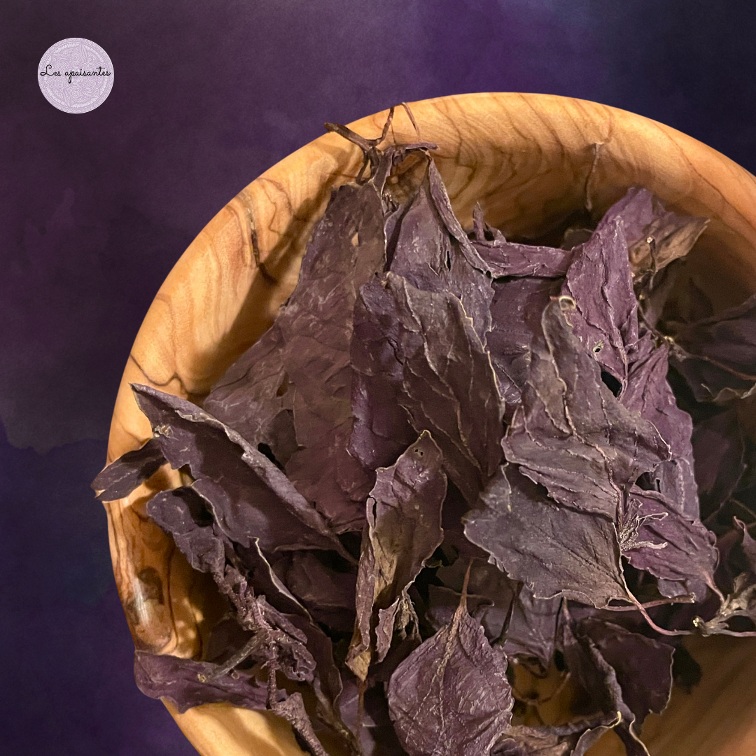 Organic Purple basil