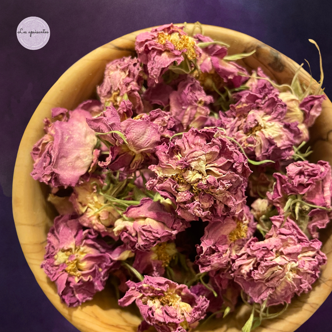 Organic Centifolia rose