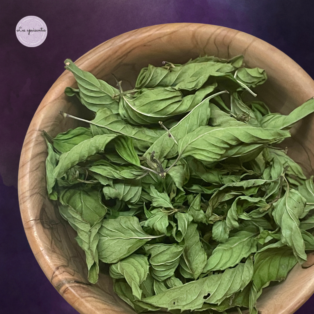 Organic Lvender mint
