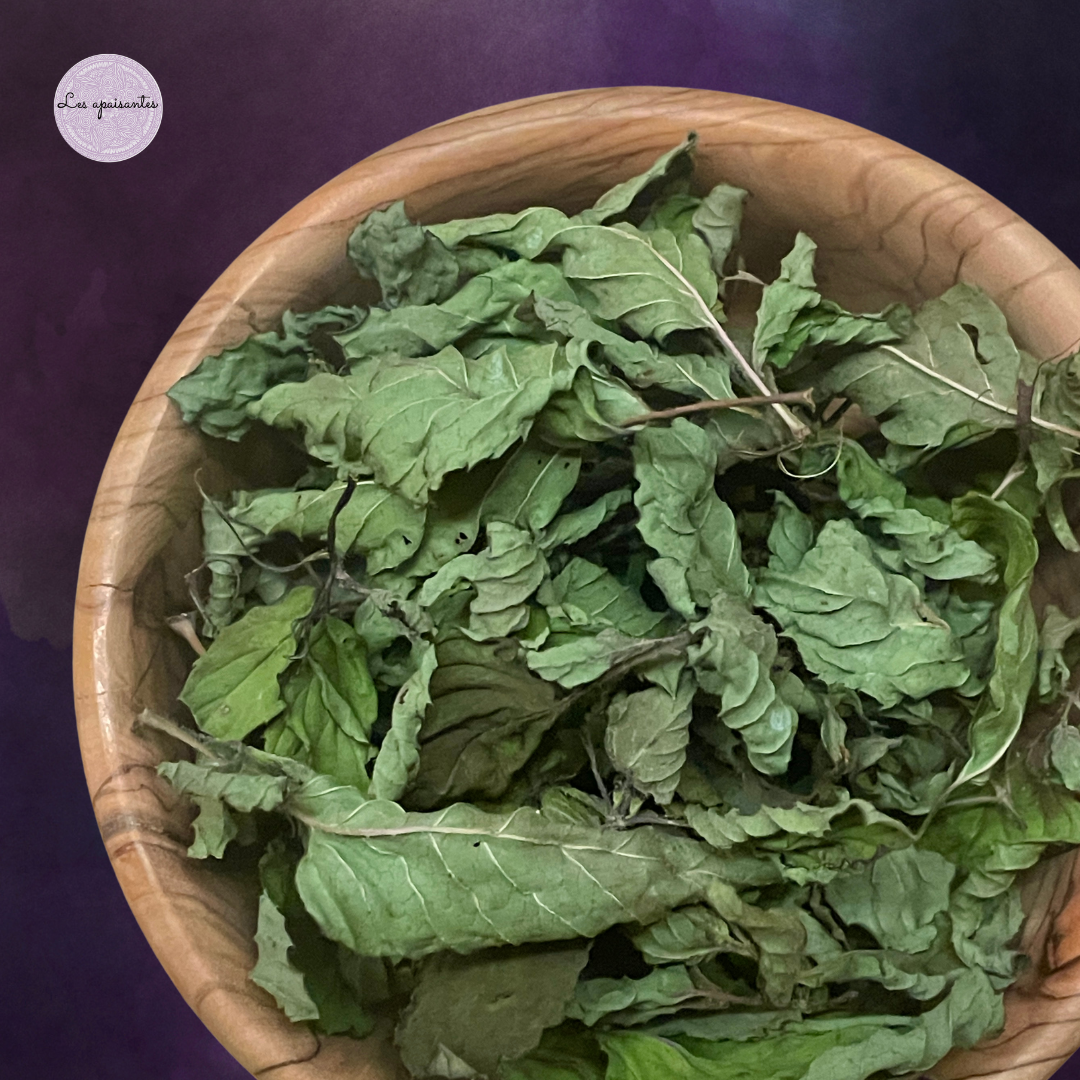 Organic Bergamot mint