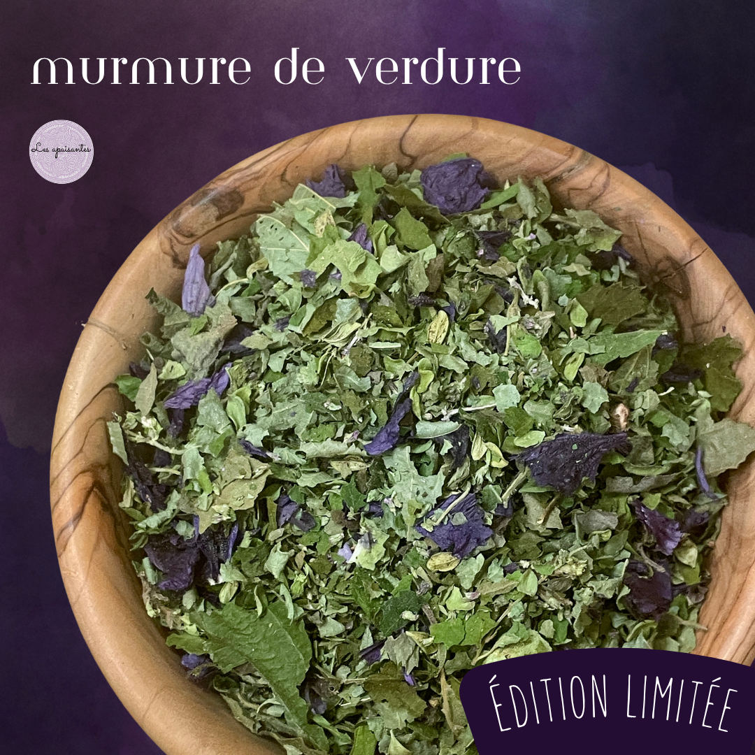 - Tisane BIO - Murmure de verdure 25g 【Édition limitée】