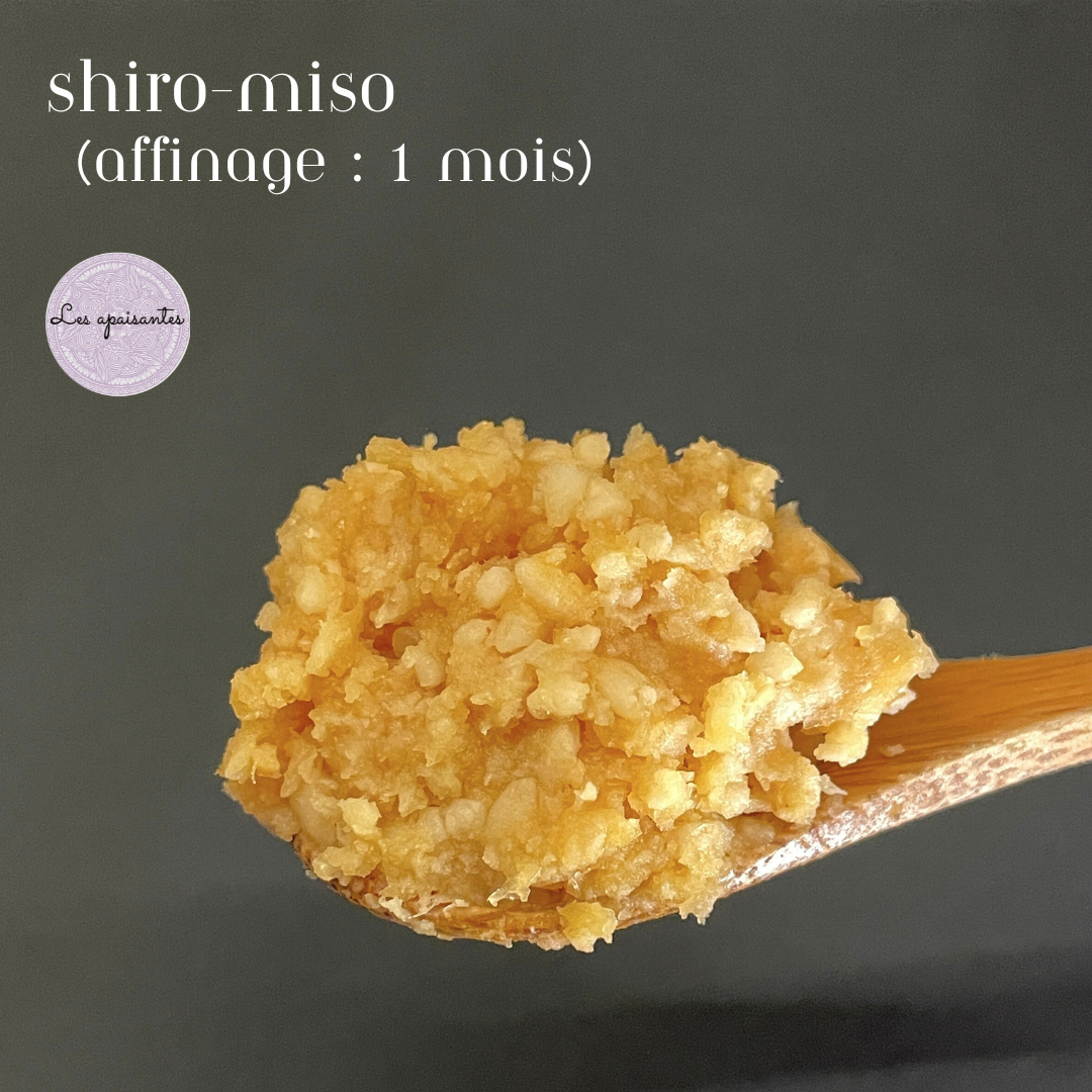- Miso artisanal - Shiro-miso ( Miso blanc )