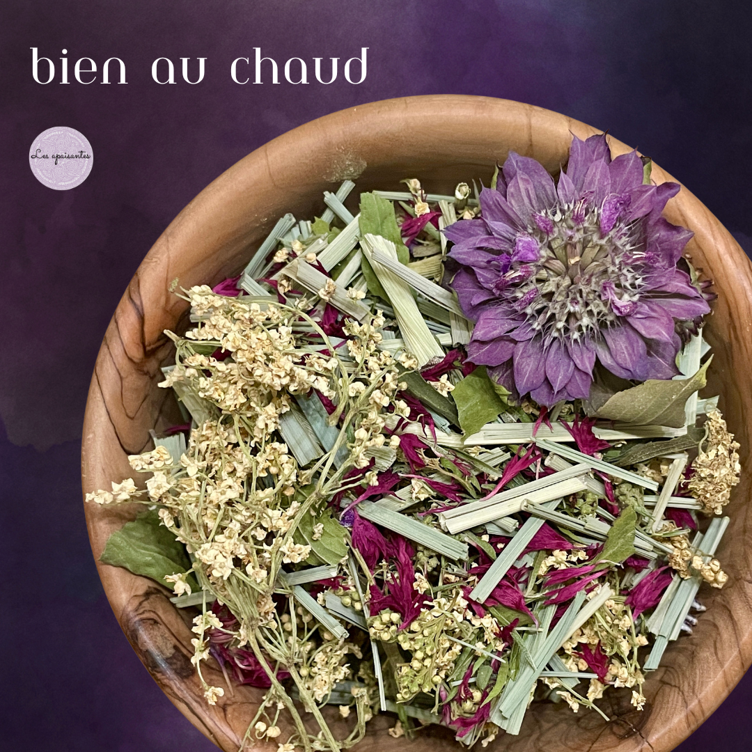 ‐Tisane BIO - Bien au chaud