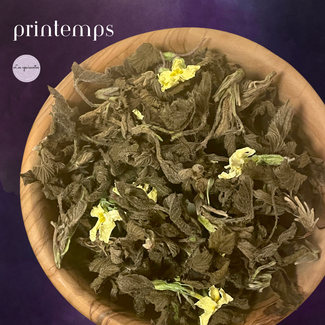 - Tisane BIO -  Printemps【 Édition limitée 】