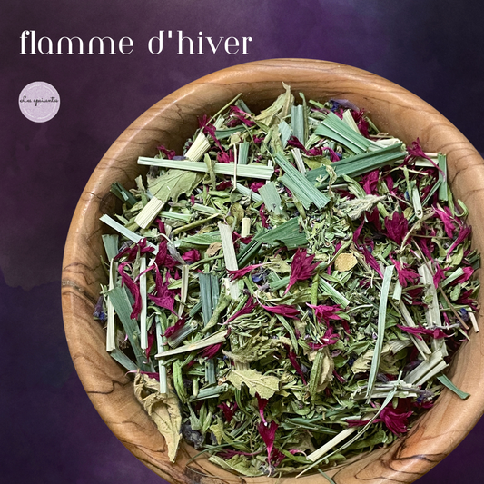 - Tisane BIO -  Flamme d’hiver