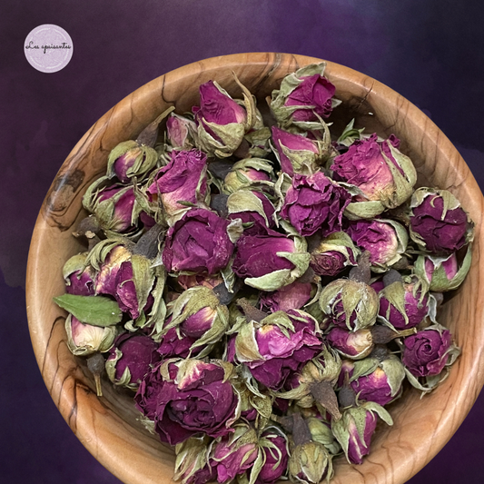 Boutons de Rose de Provins BIO