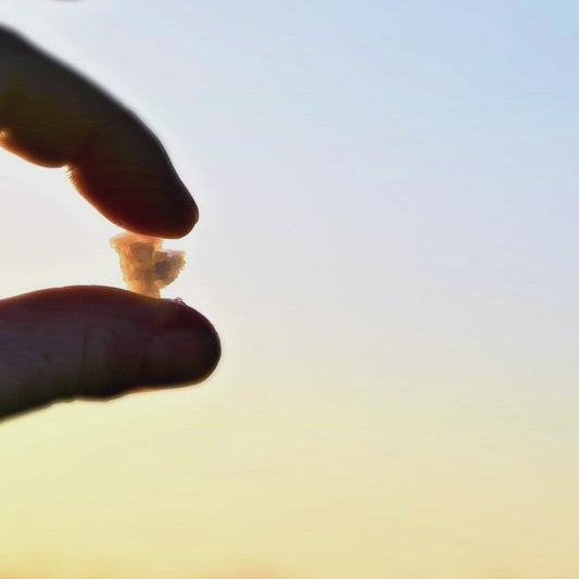 - BIOハーブソルト -  フランス春の山菜ラムソンとゲランドのフルール・ド・セル　【限定】